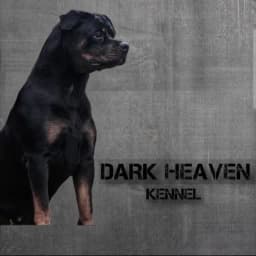 Dark_Heaven Kennel